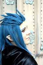 Cosplay-Cover: Saix [VII]