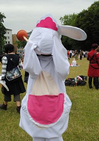 Cosplay-Cover: Raving Rabbid (maid)