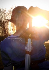 Cosplay-Cover: Link (The Legend of Zelda: Breath of the Wild)