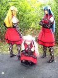 Top-3-Foto - von Sempai