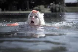 Top-3-Foto - von Blowfish