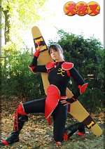 Cosplay-Cover: Sango