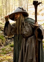 Cosplay-Cover: Gandalf the Grey
