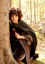 Cosplay-Cover: Frodo Baggins [The Fellowship Of The Ring]