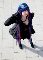 Cosplay-Cover: Stocking Anarchy •Sex and the DatenCity•