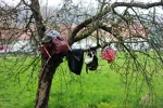 Foto des Kostüms