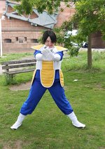 Cosplay-Cover: Son-gohan (Namek Version)