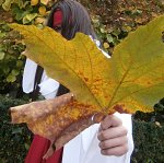 Foto des Kostüms