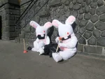 Foto des Kostüms