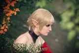 Top-3-Foto - von Shuichi