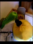 Foto des Kostüms