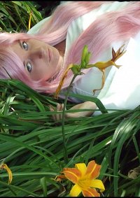 Cosplay-Cover: Euphemia [traditional]