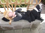 Foto des Kostüms