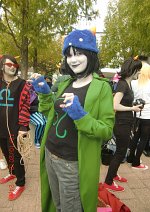 Cosplay-Cover: Nepeta Leijon