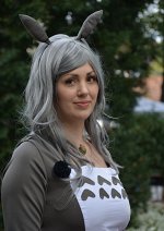 Cosplay-Cover: Totoro