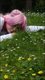Top-3-Foto - von Shachi