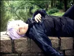 Cosplay-Cover: Labrador