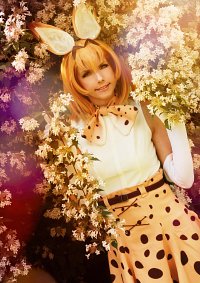 Cosplay-Cover: Serval