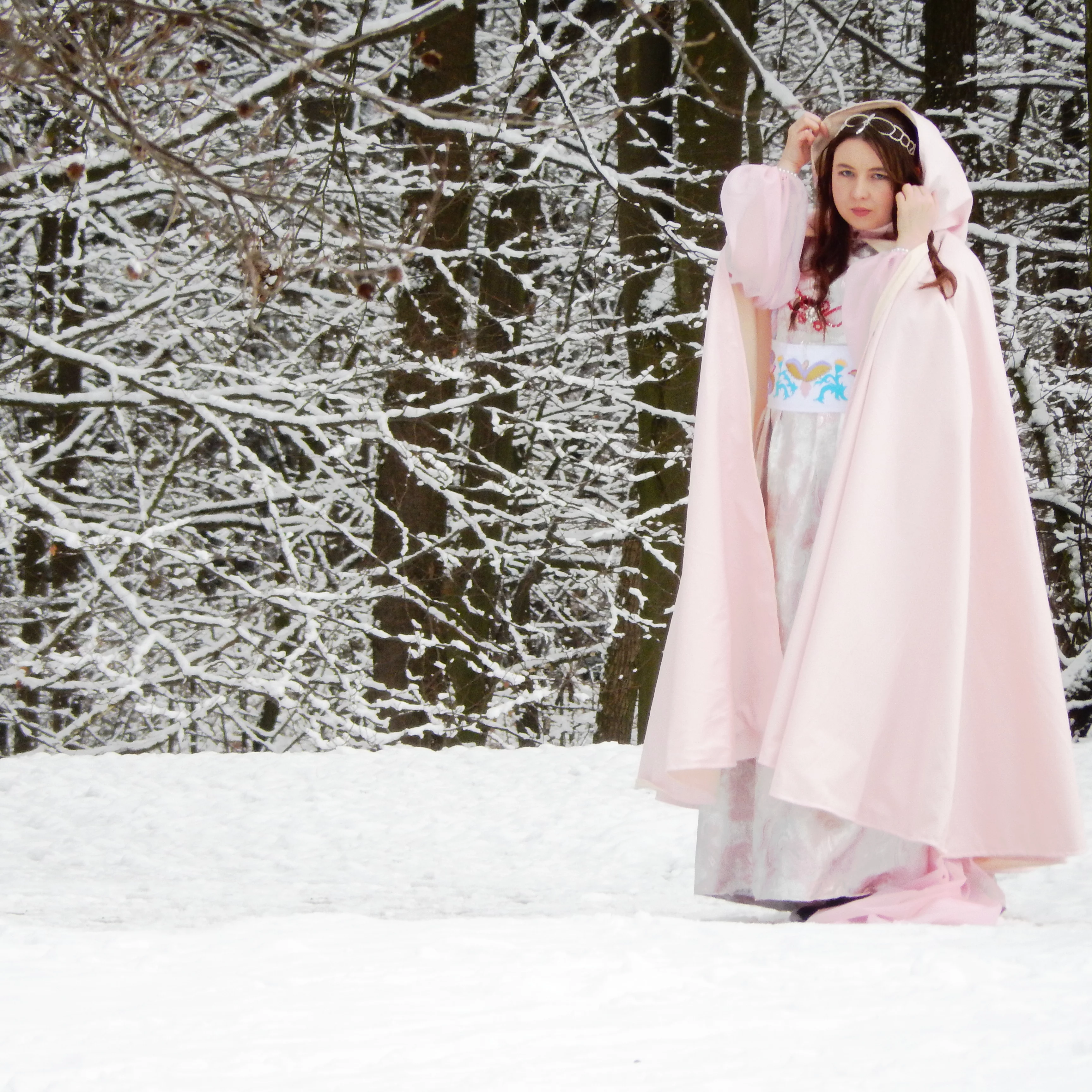 Cosplay: Aschenbrödel Ballkleid