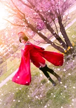 Cosplay-Cover: Meiko [千本桜 Senbonzakura]