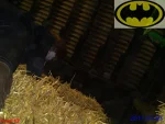 Cosplay-Cover: Batgirl ♥Barbara Wilson♥