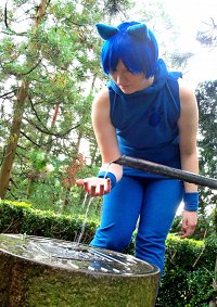 Cosplay-Cover: Kaito ☆ [Nekomimi Switch]