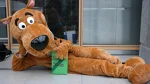 Foto des Kostüms