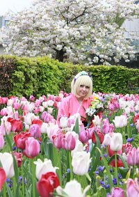 Cosplay-Cover: Shiemi Moriyama