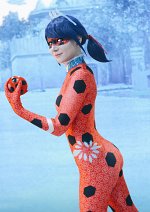 Cosplay-Cover: Ice Ladybug