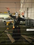 Foto des Kostüms
