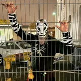 Top-3-Foto - von SiGxGiS