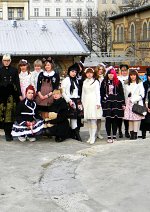 Cosplay-Cover: Hängebauchschweinchen