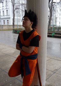 Cosplay-Cover: Son-Gohan