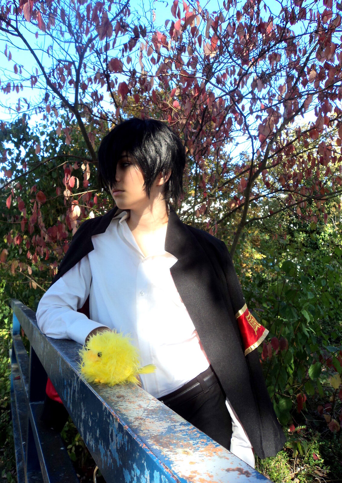 Cosplay-Cover: Hibari Kyoya