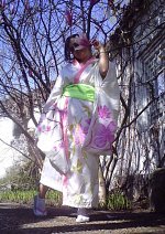 Cosplay-Cover: Kimono