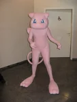 Foto des Kostüms