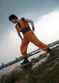 Cosplay-Cover: Son Gohan