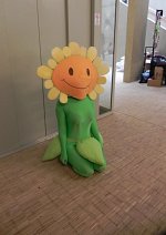 Cosplay-Cover: Sonnenblume (Plants VS Zombies)