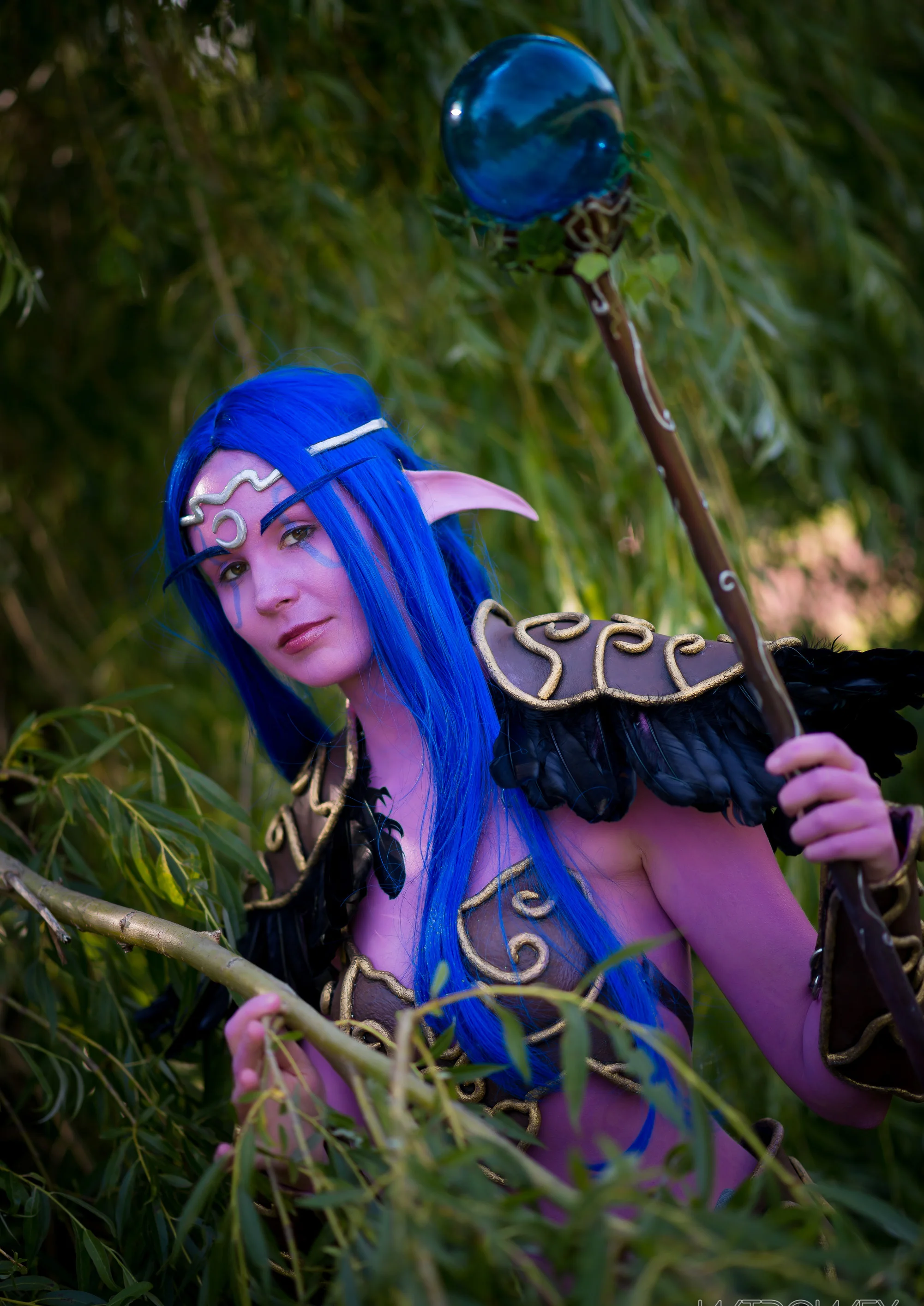 Cosplay-Cover: Nachtelf Druide