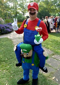 Cosplay-Cover: Mario und Luigi