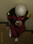Foto des Kostüms