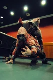 Top-3-Foto - von Schleim