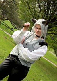 Cosplay-Cover: Sephiroth (Wolf / Fanart)