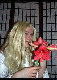 Cosplay-Cover: Galadriel