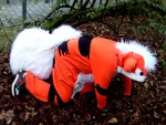 Foto des Kostüms