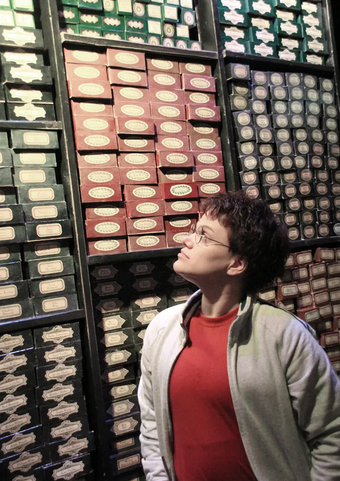 Cosplay-Cover: Harry Potter (7 Potters Scene)