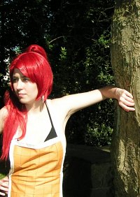 Cosplay-Cover: Erza ➣ Tenrou Island Camp