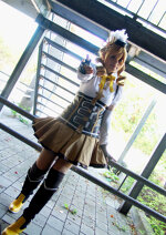 Cosplay-Cover: Mami Tomoe (Magical Dress)