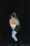 Foto des Kostüms