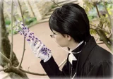 Top-3-Foto - von Muraki_Kazutaka